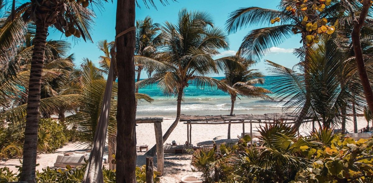 ActivitiesTo Do in New York & Mexico